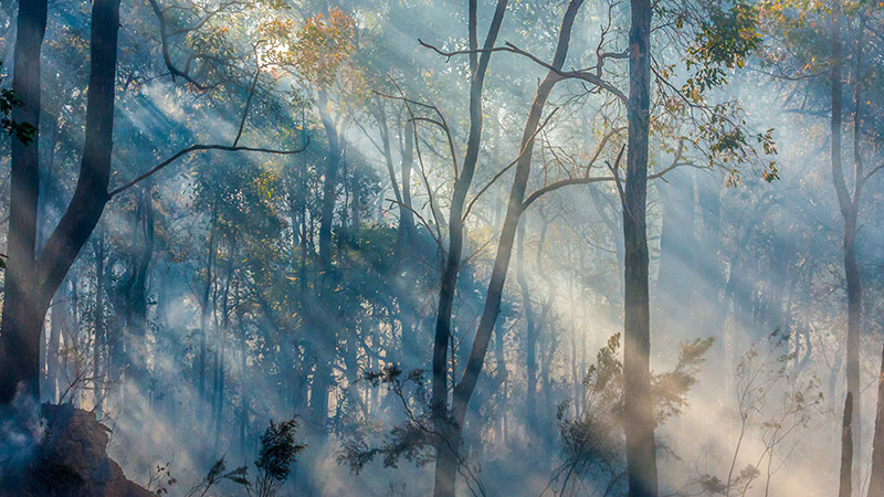 SMBI residents alerted to increased smoke and embers from North Stradbroke Island fire